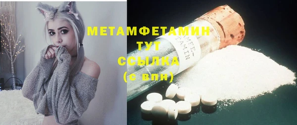 мдпв Пестово