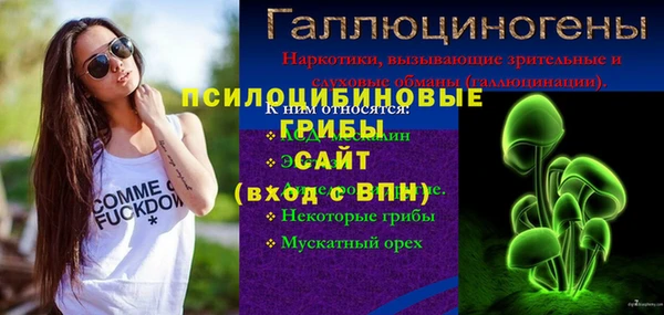 спайс Лагань