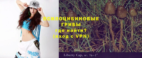 круглые Саяногорск