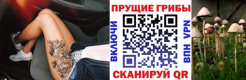 Псилоцибиновые грибы прущие грибы  наркошоп  Талдом 